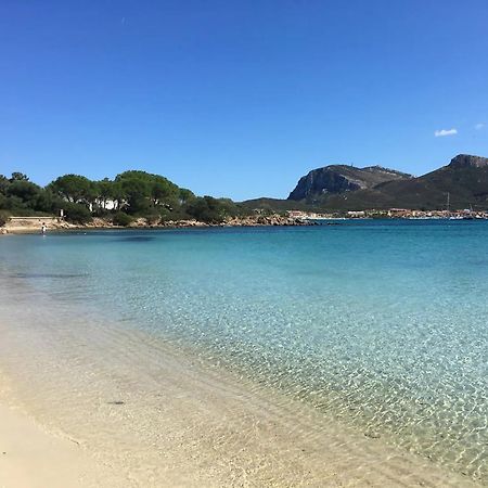 Tramontana Vista Mare 300M Dalla Spiaggia Golfo Aranci Kültér fotó